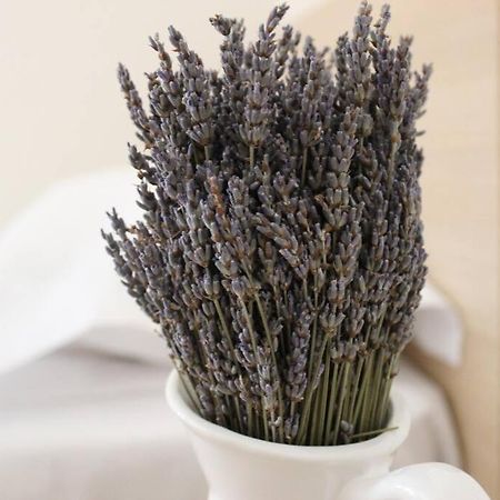 Lavandula Ring Тирана Екстериор снимка