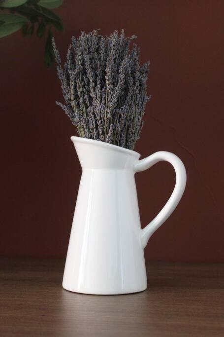 Lavandula Ring Тирана Екстериор снимка