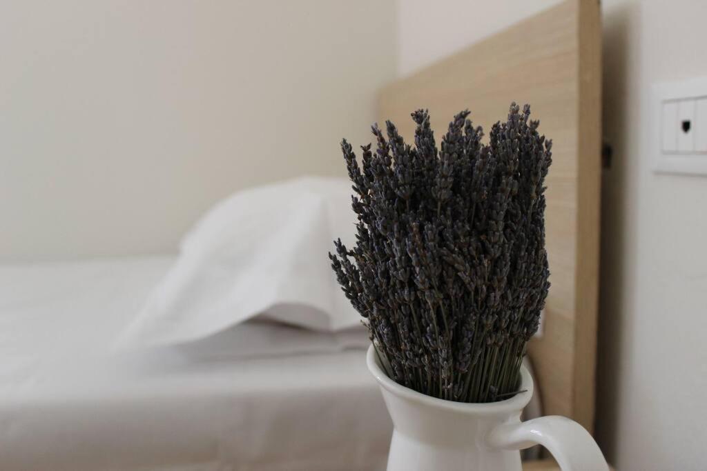 Lavandula Ring Тирана Екстериор снимка